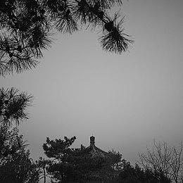 《足球经理2022》大型更新22.2公布 包括多项改进调整